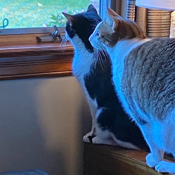 Meet your Posher, Julie - Picture 9 of 9